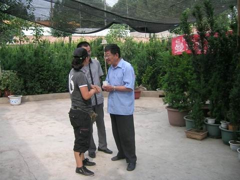 1560586467968056.jpg 9.jpg