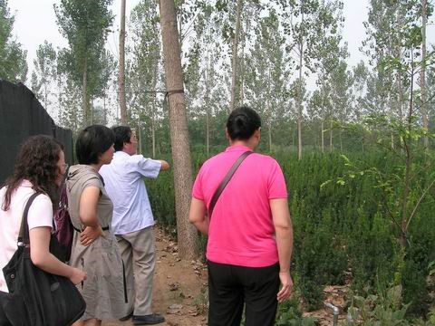 1560586485836018.jpg 11.jpg