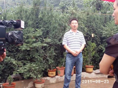 1560586620379662.jpg 17.jpg