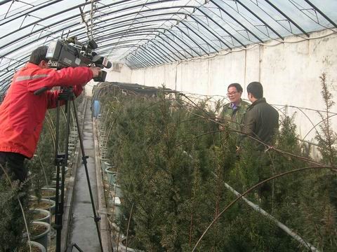 1560586623805590.jpg 18.jpg